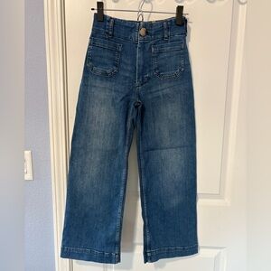 Maeve Anthropologie The Colette Pants Size 24P